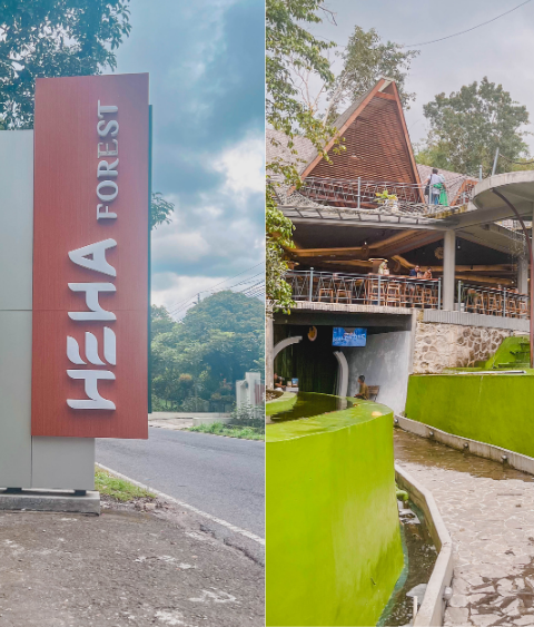 heha Forest Jogja
