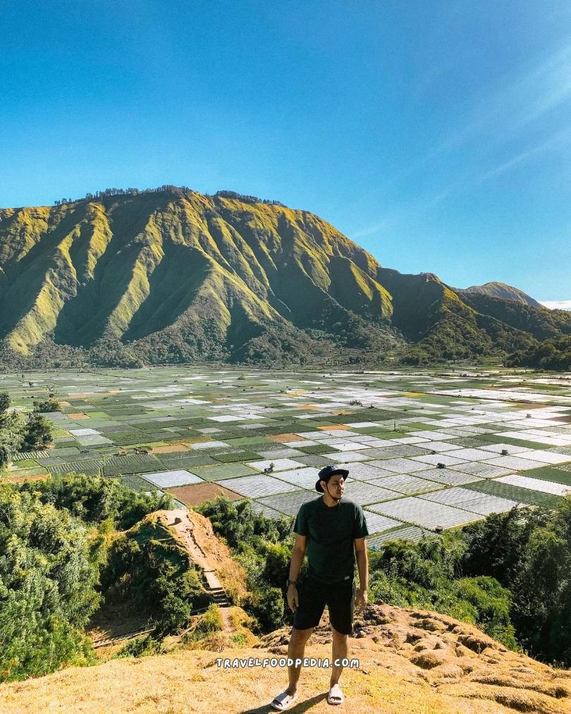 BUKIT SELONG SEMBALUN LOMBOK