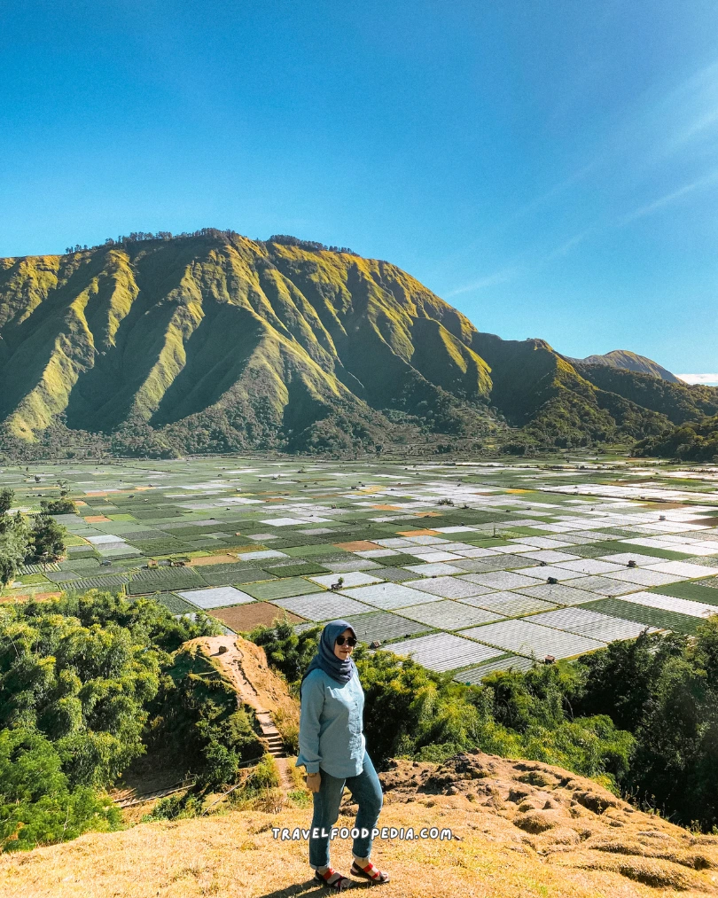 BUKIT SELONG SEMBALUN LOMBOK