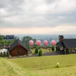 The Olive Branch by Rustic Market Pandaan