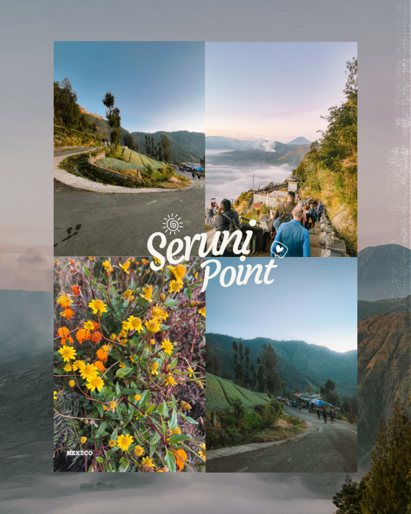 naik motor trail ke bromo (2)